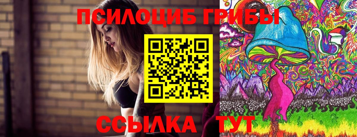 Псилоцибиновые грибы GOLDEN TEACHER Пугачёв